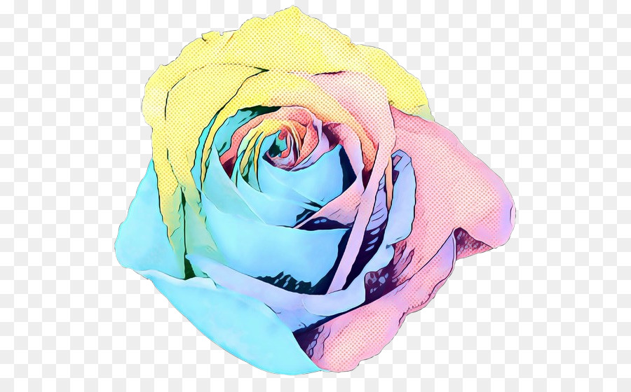 Rainbow Rose，Mawar PNG