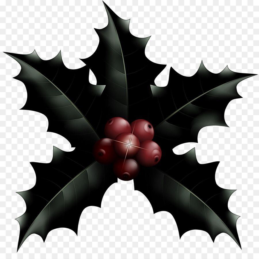 Holly，Daun PNG