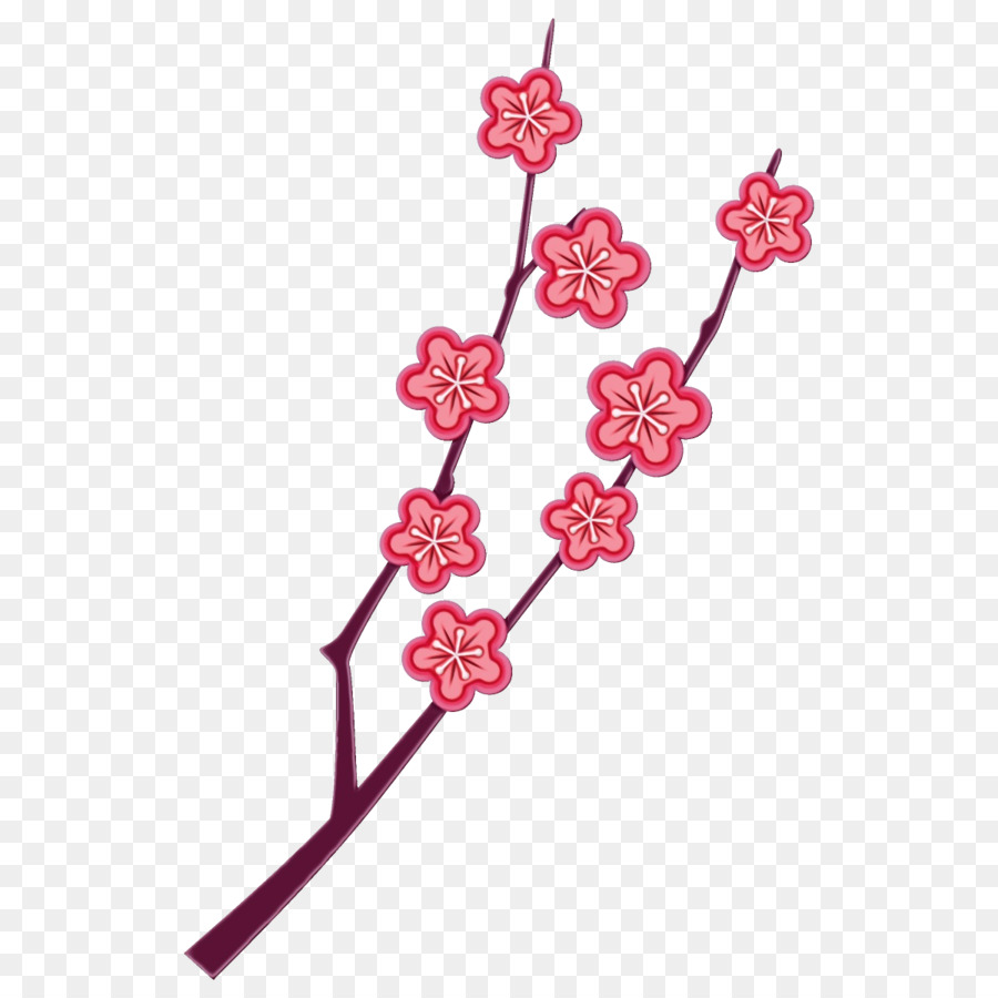 Bunga Sakura，Bunga PNG