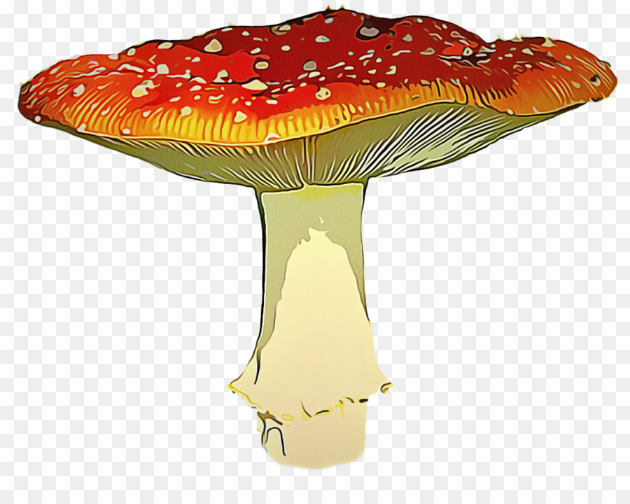 Agaric，Jamur PNG