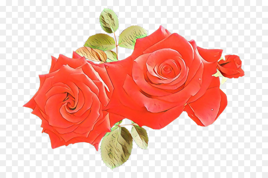 Mawar Taman，Merah PNG