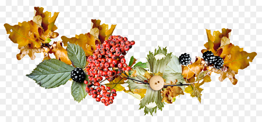 Blackberry，Daun PNG