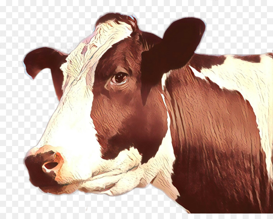 Sapi，Ternak PNG