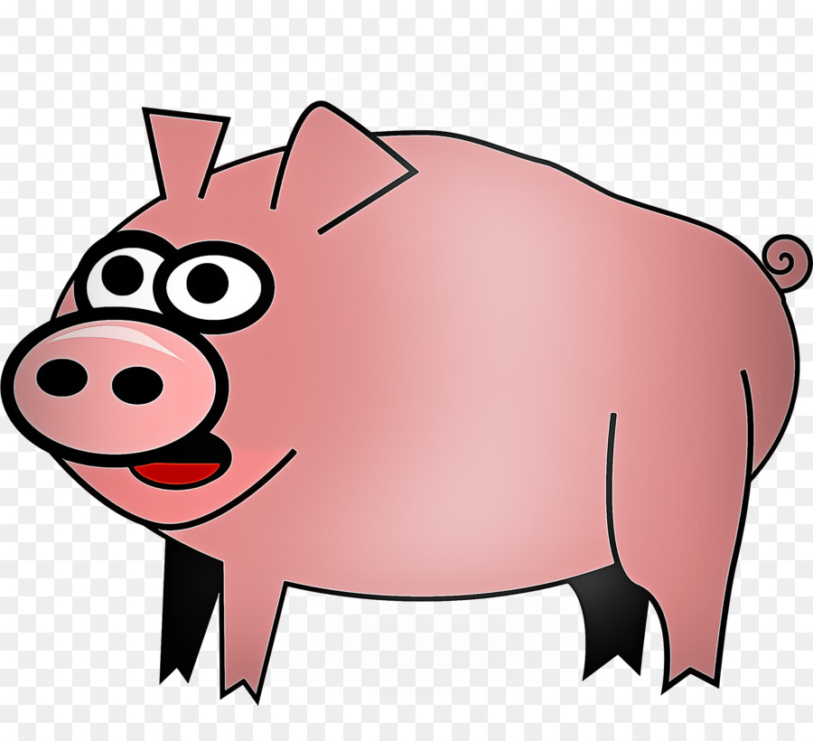 Babi，Peternakan PNG