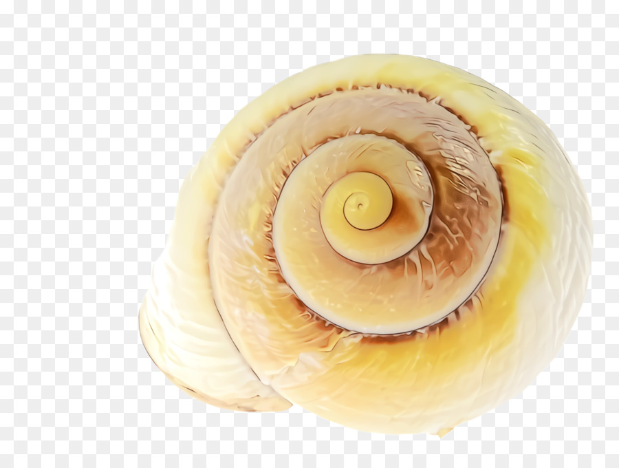 Makanan，Spiral PNG