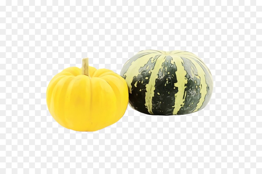 Labu，Cucurbita PNG