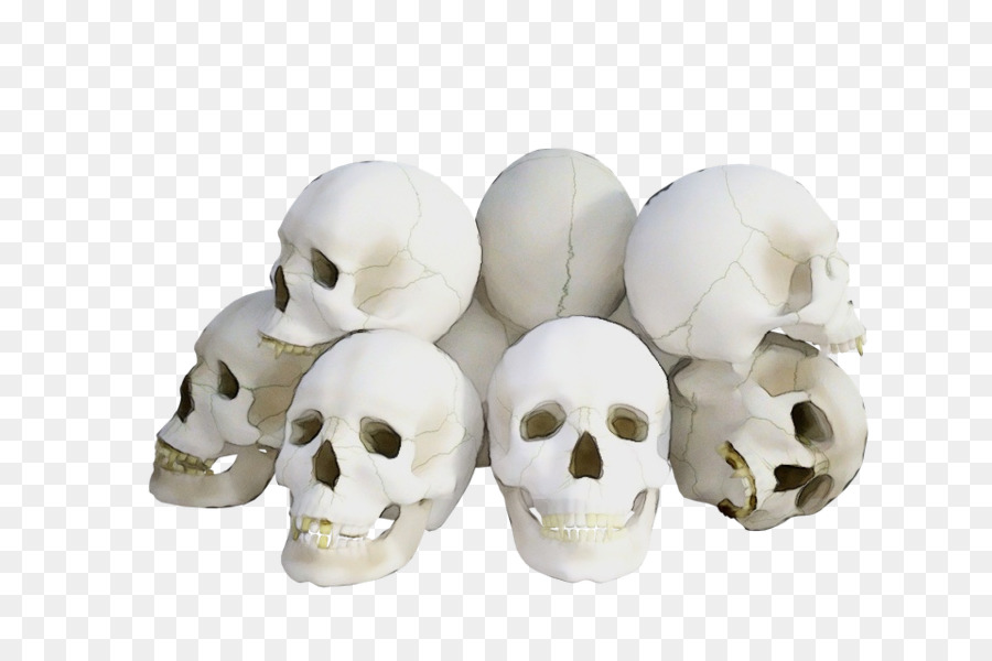 Tulang，Putih PNG