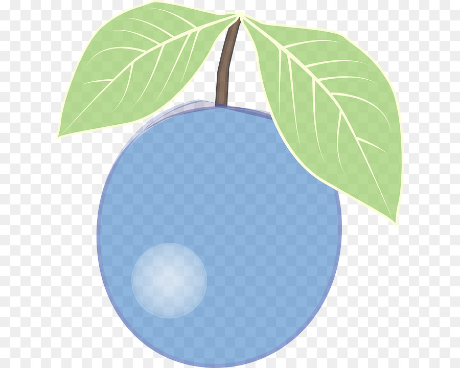 Plum Biru，Daun PNG