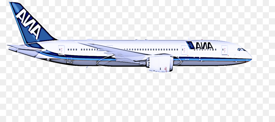 Maskapai Penerbangan，Pesawat PNG