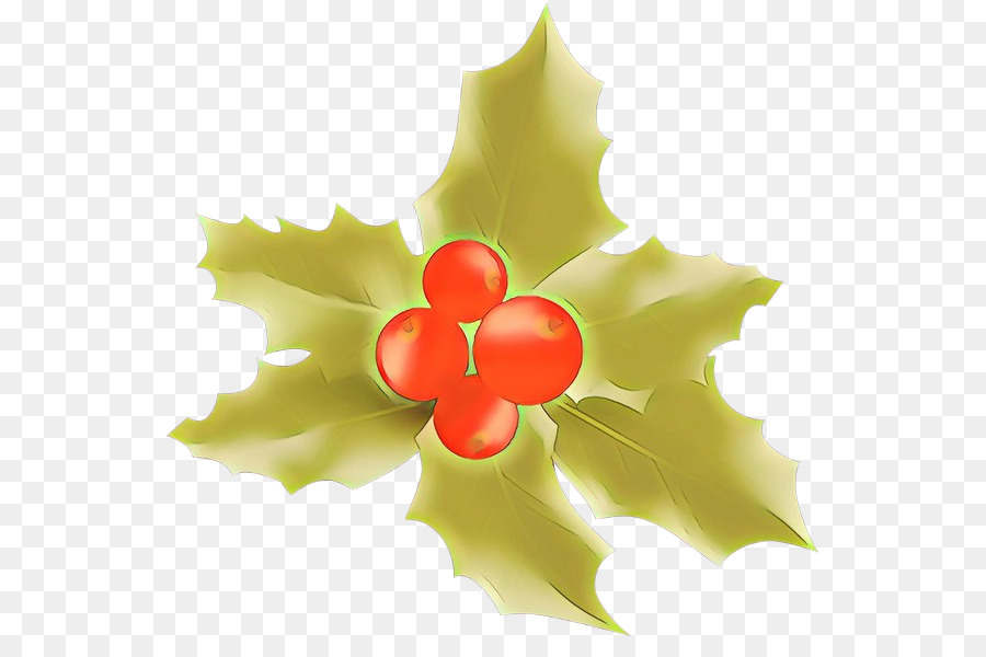 Holly，Daun Daun PNG