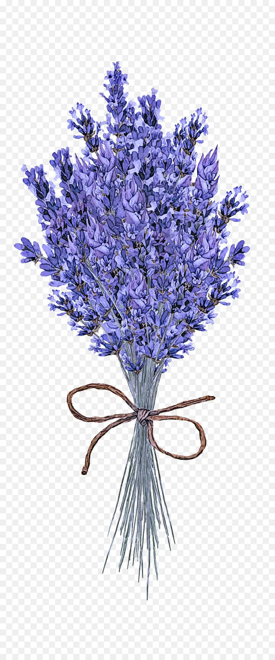 Buket Bunga Lavender，Bunga PNG