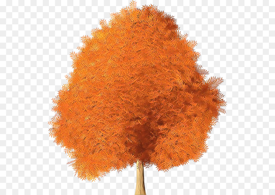 Oranye，Pohon PNG