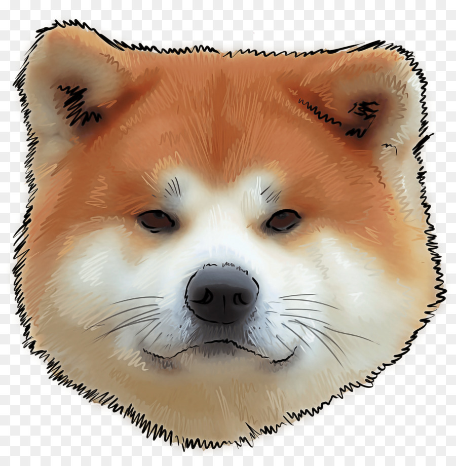 Anjing，Shiba Inu PNG