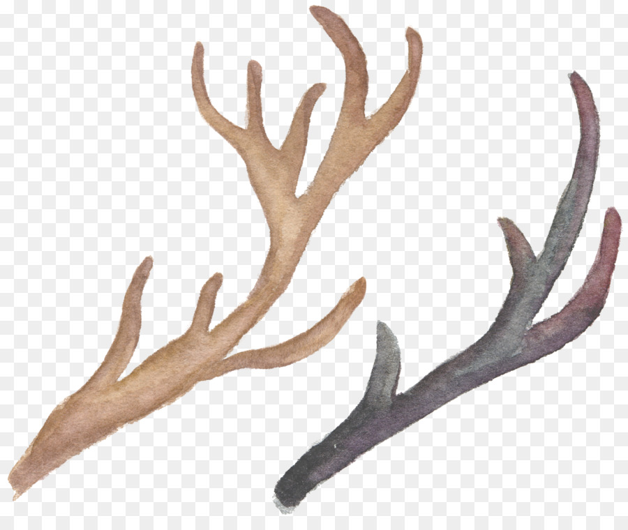 Tanduk，Elk PNG