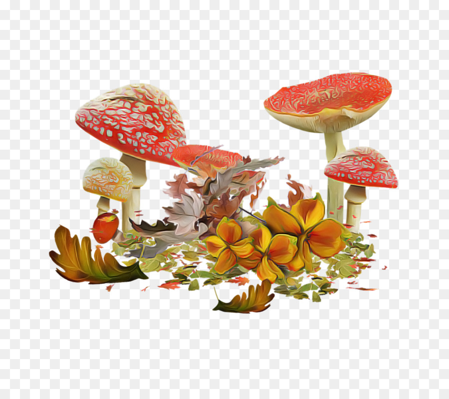 Agaric，Jamur PNG
