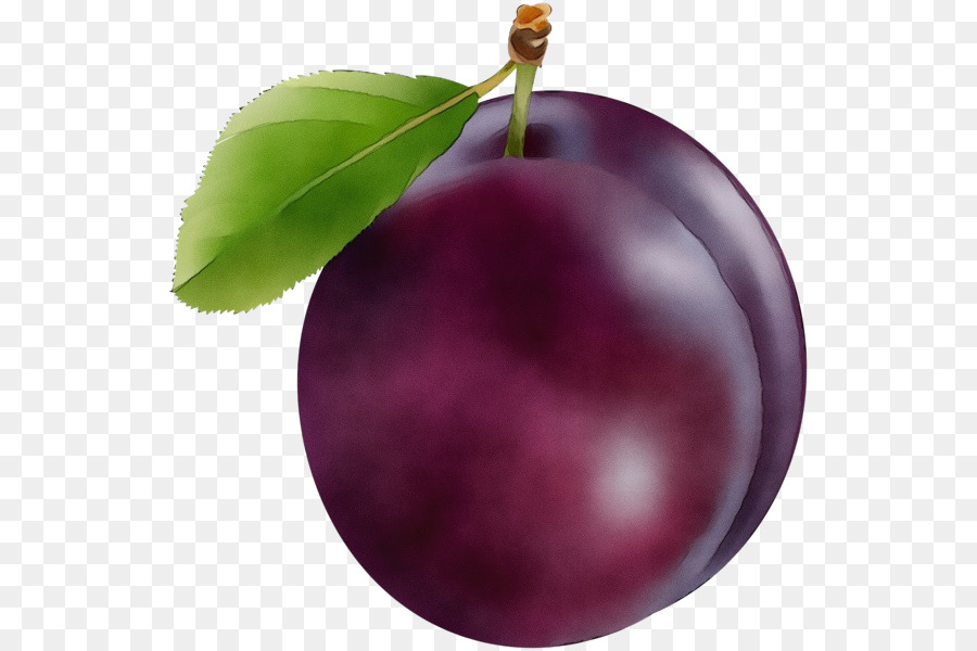 Eropa Plum，Buah PNG