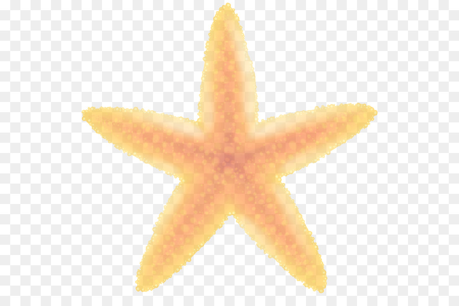 Oranye，Bintang Laut PNG