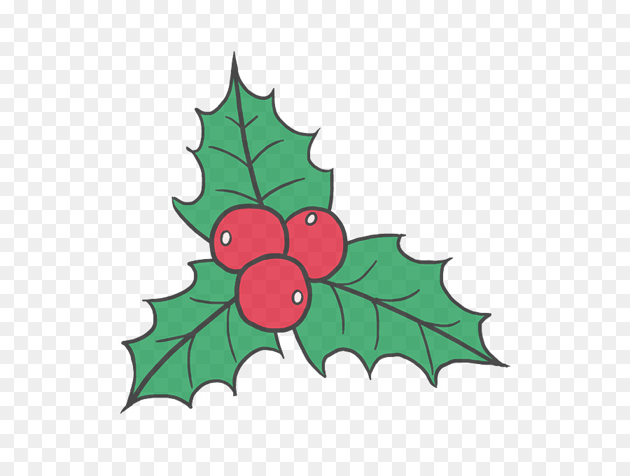 Holly，Daun PNG