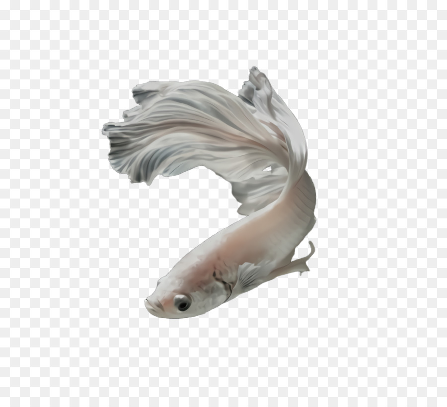 Ikan，Koi PNG