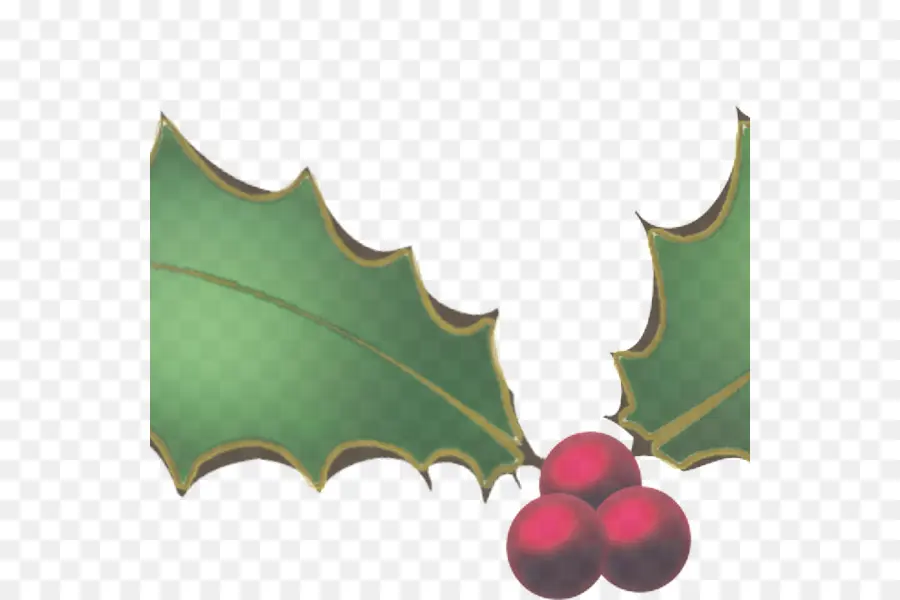 Holly，Daun PNG