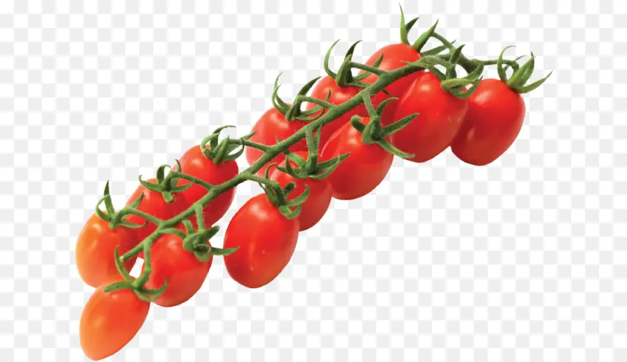 Makanan Alami，Tomat Cherry PNG