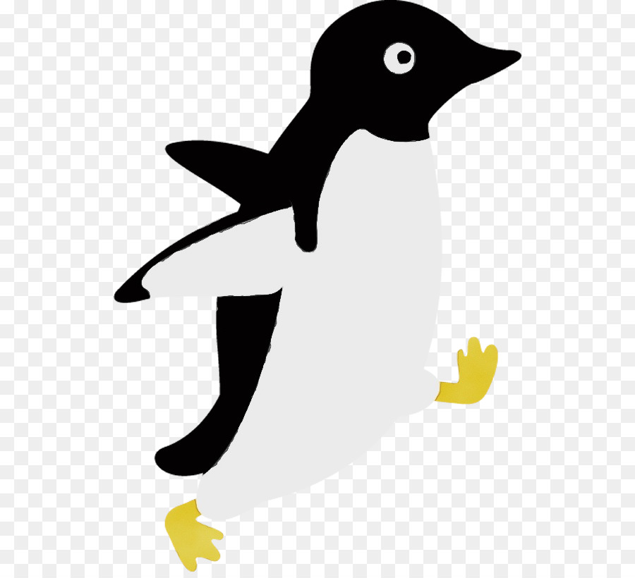 Penguin，Burung PNG