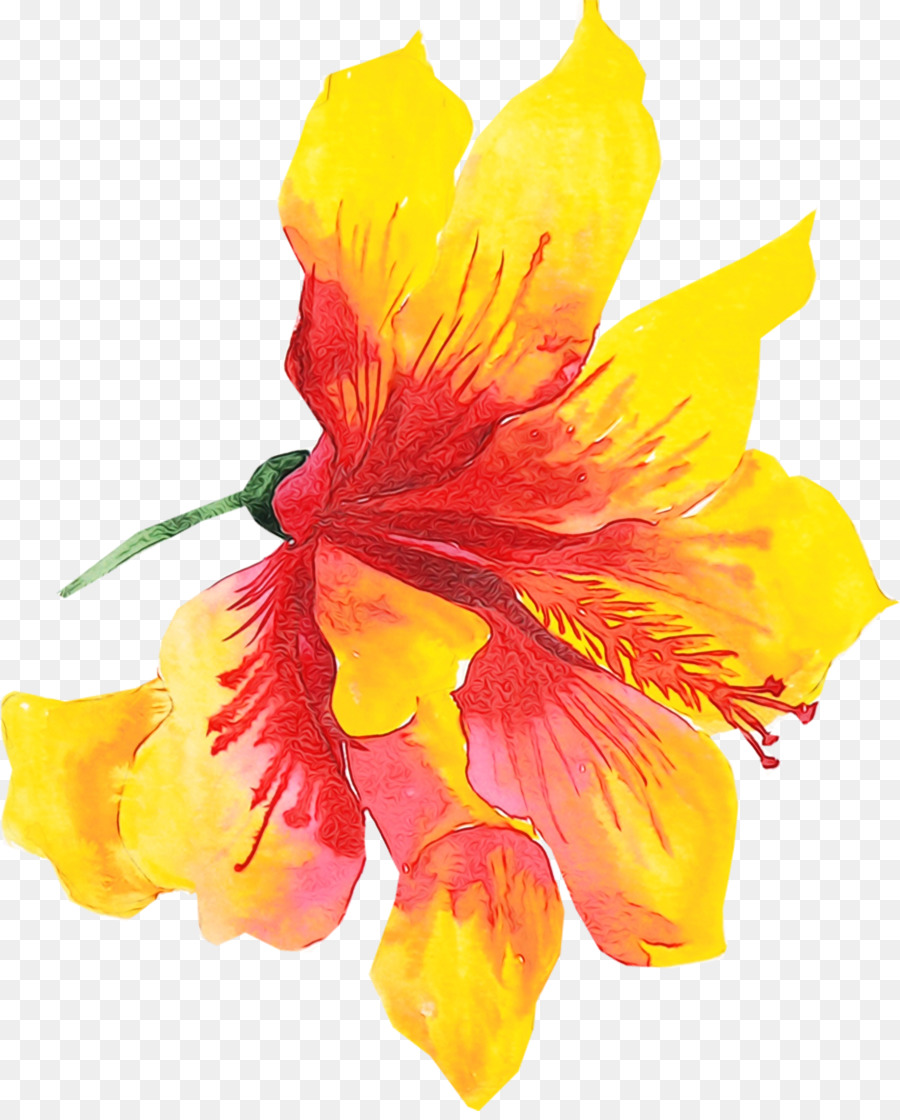 Kuning，Daun Bunga PNG