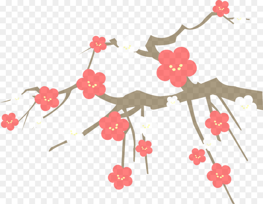 Bunga Sakura，Bunga PNG