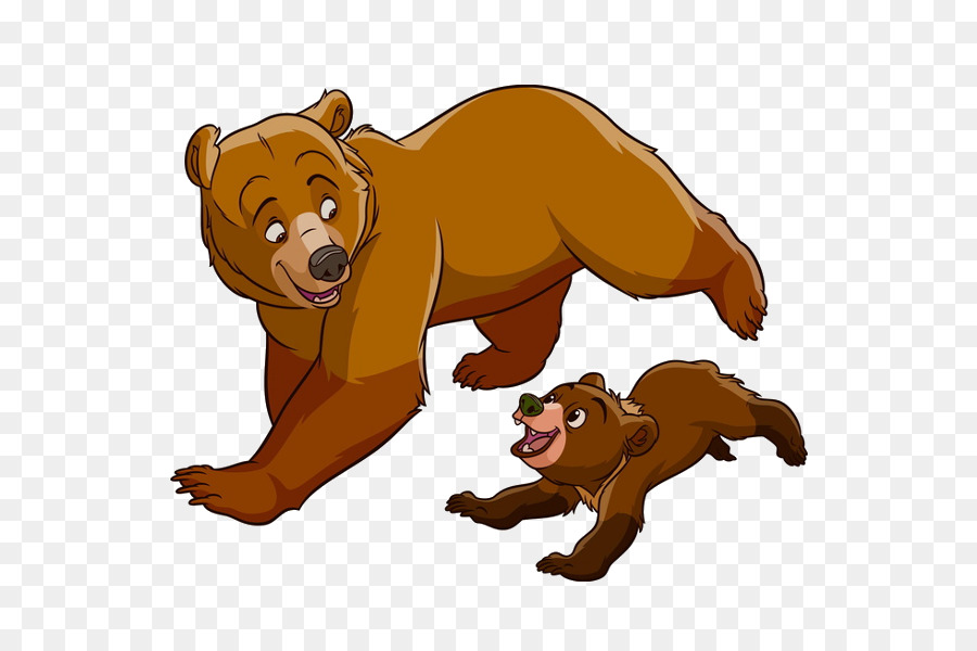 Beruang Coklat，Beruang Grizzly PNG