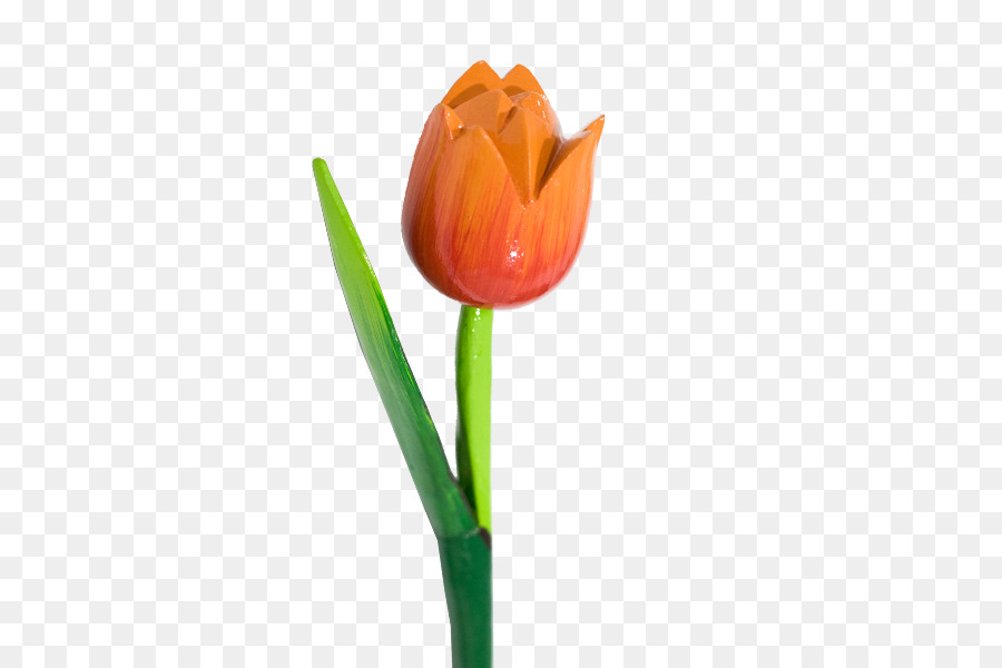 Tulip Ungu，Tangkai PNG