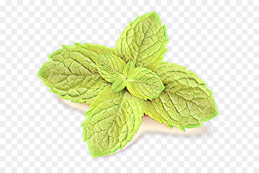 Daun，Daun Mint PNG