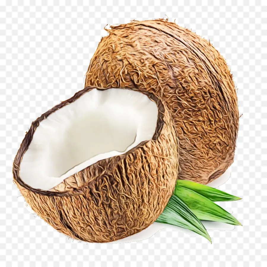 Kelapa，Pabrik PNG