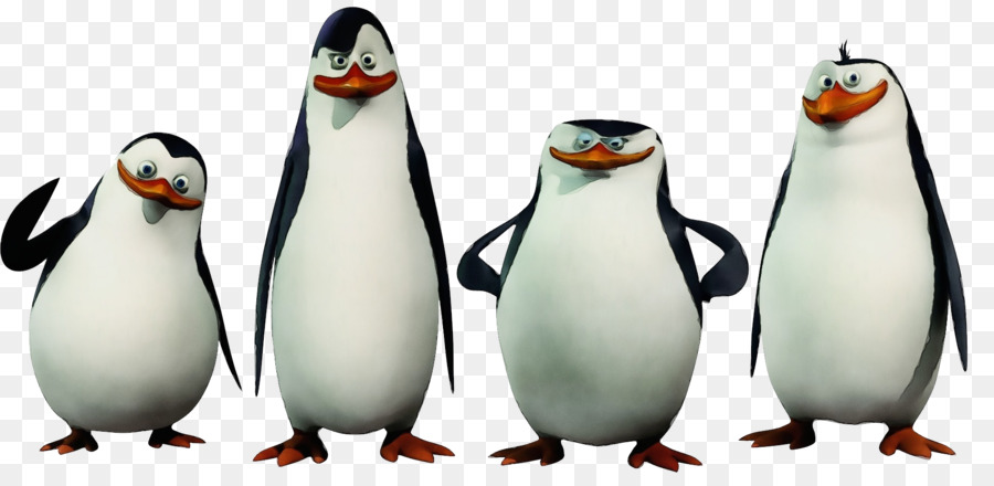 Pinguin，Burung Yang Tidak Bisa Terbang PNG