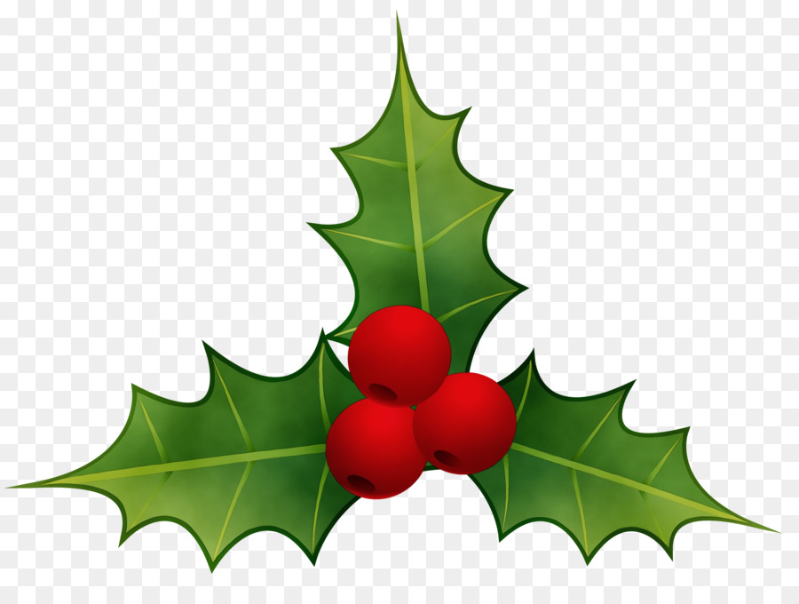 Holly，Daun Daun PNG