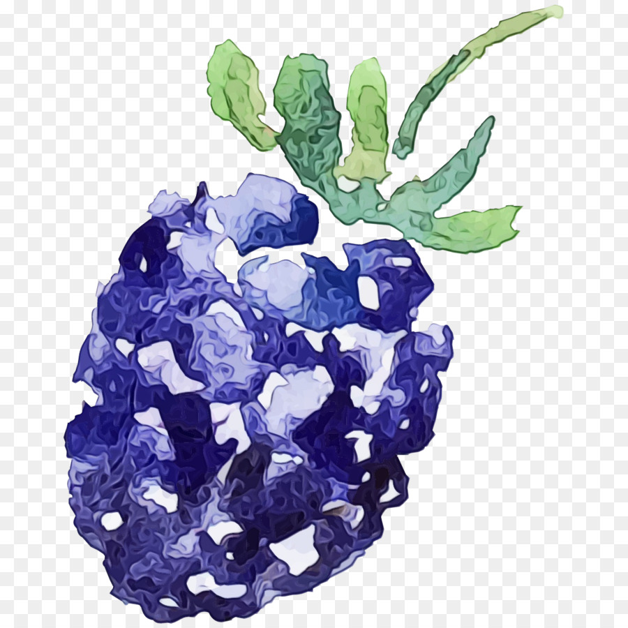 Blackberry，Beri PNG