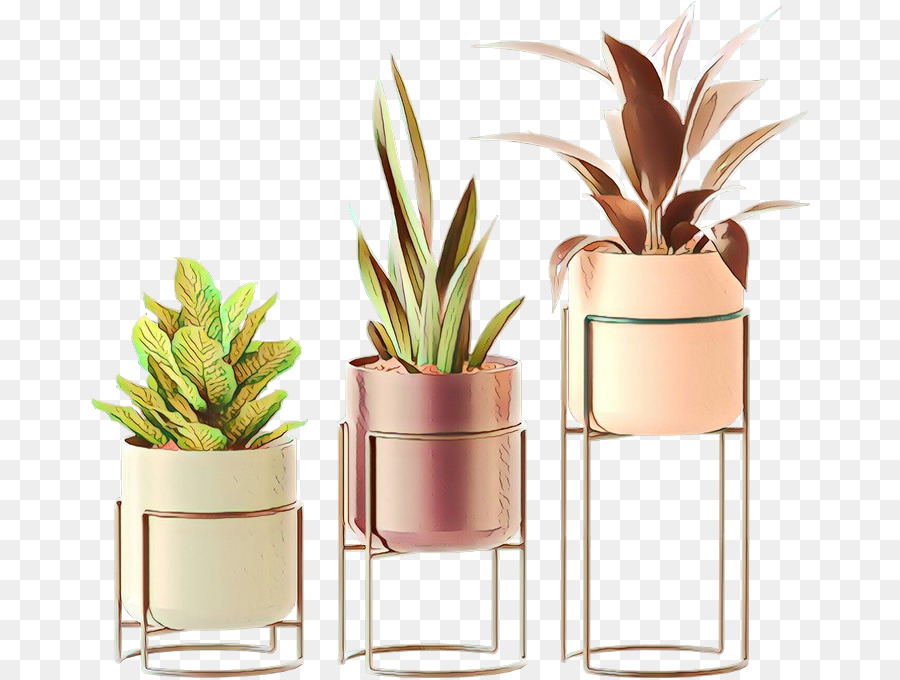 Pot Bunga，Houseplant PNG