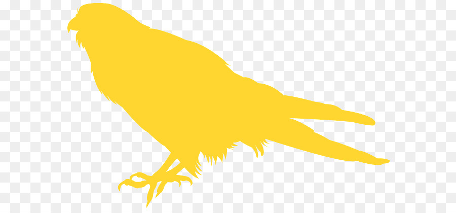Burung，Kuning PNG