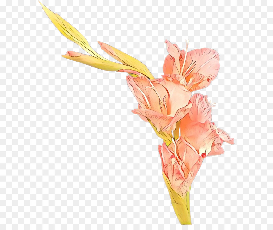 Bunga，Bunga Potong PNG