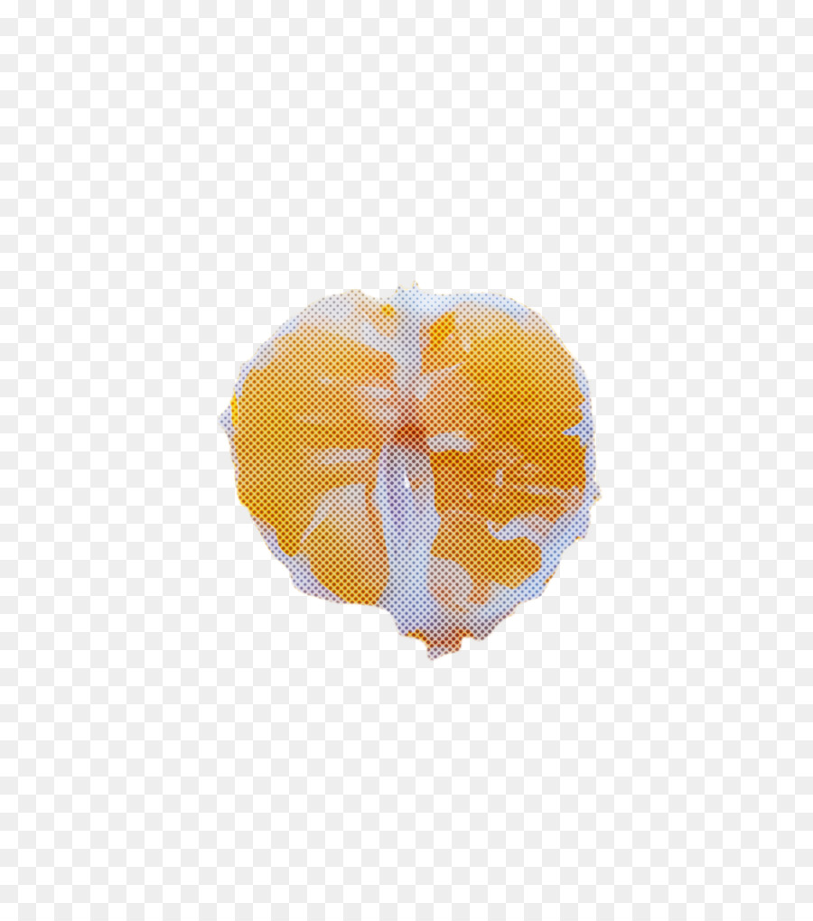 Orange，Kuning PNG