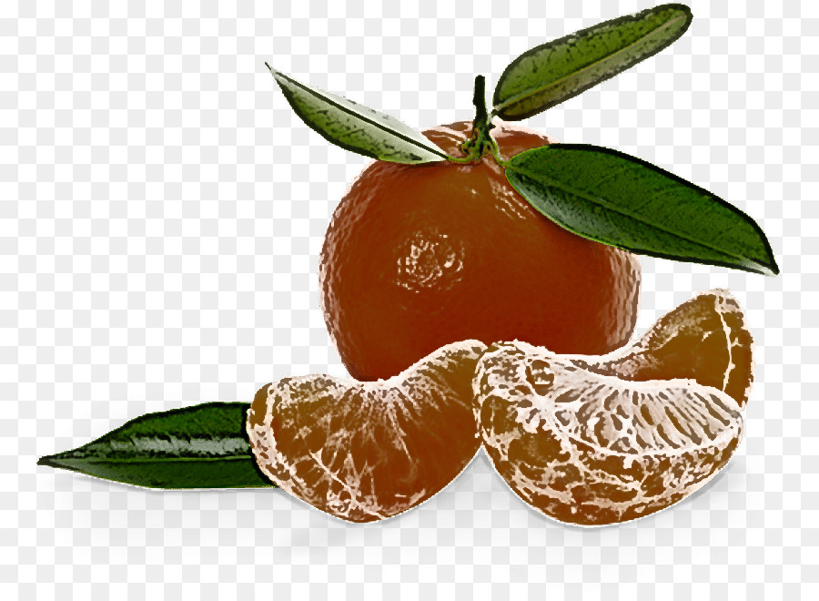 Clementine，Jeruk Mandarin PNG