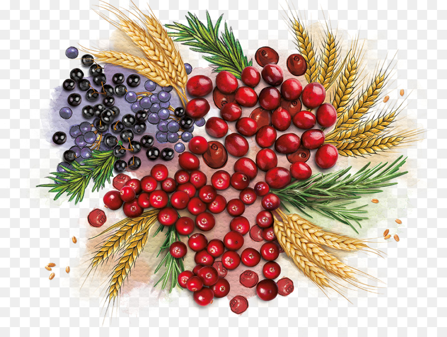 Makanan Alami，Berry PNG