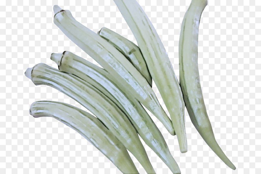 Okra，Hijau PNG