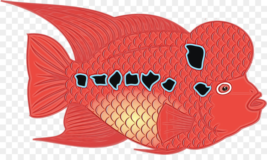 Ikan，Merah PNG