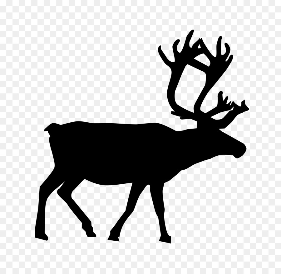 Rusa，Elk PNG