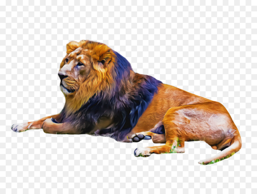 Singa，Satwa Liar PNG