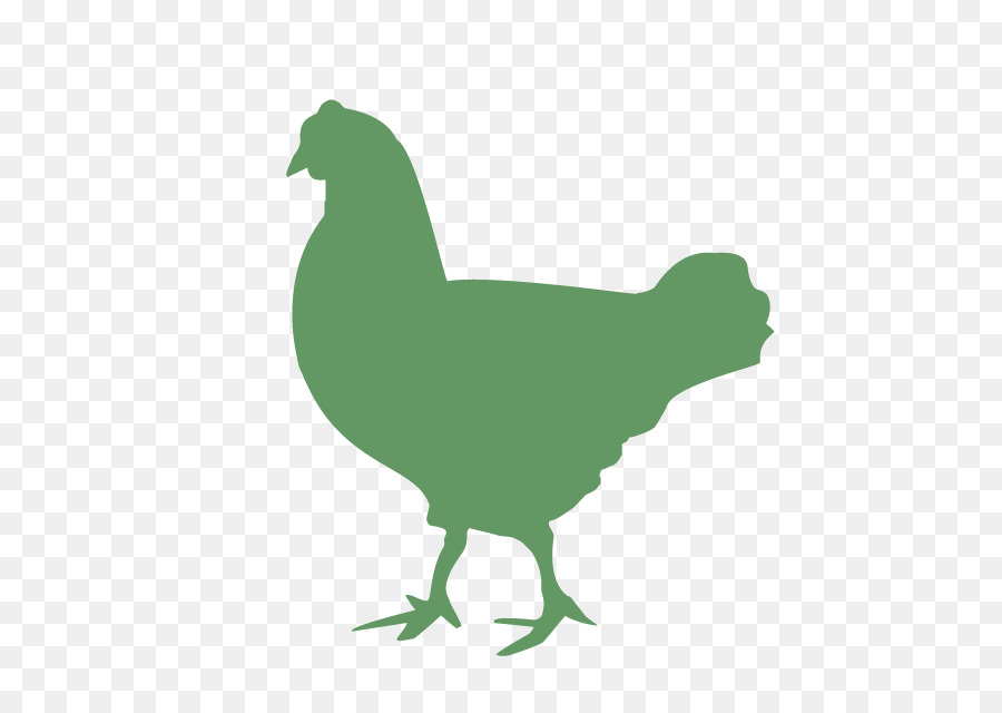 Burung，Ayam PNG