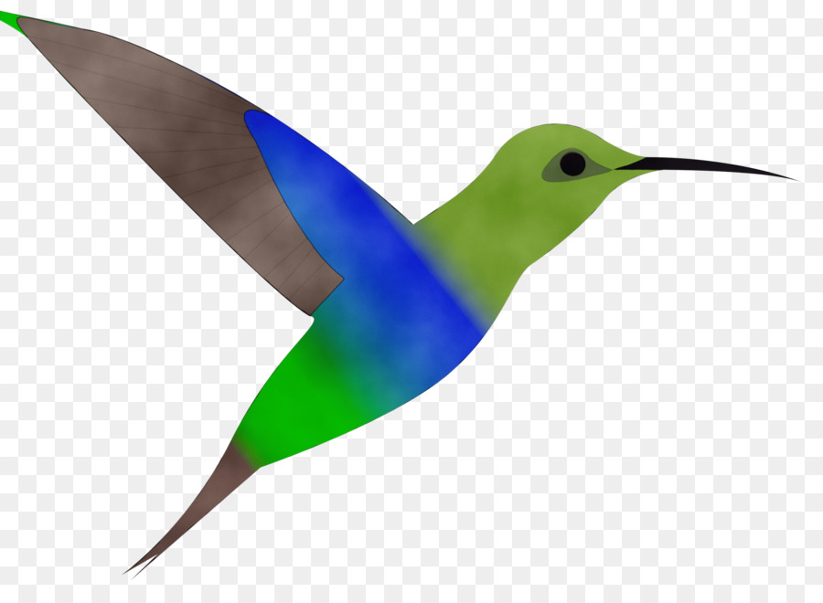 Burung，Hummingbird PNG