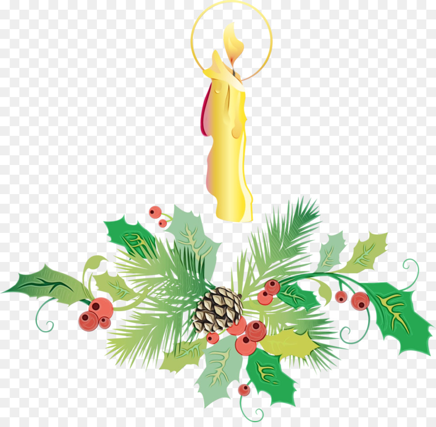 Liburan Ornamen，Holly PNG