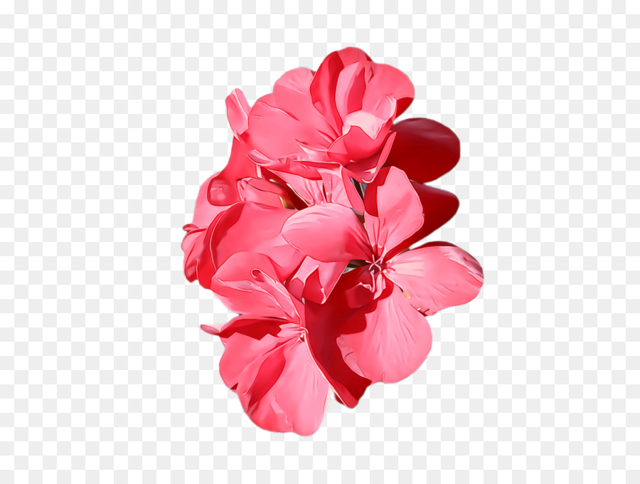 Pink，Kelopak PNG