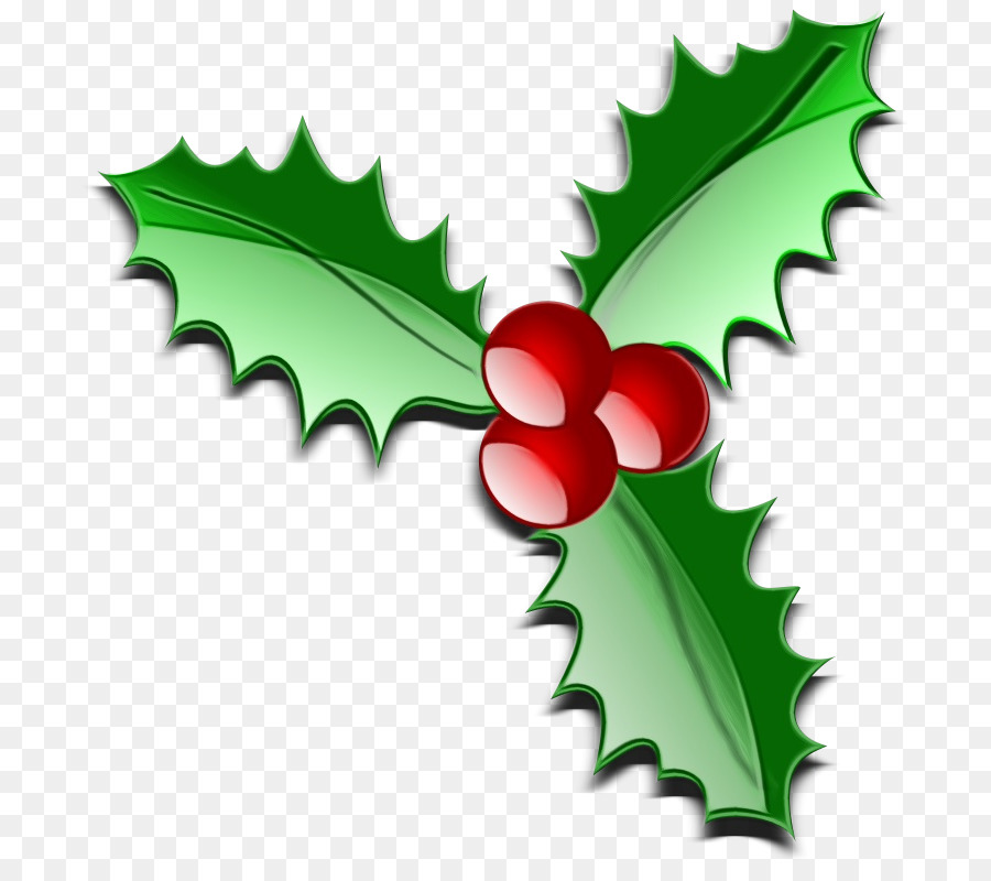 Holly，Daun Daun PNG